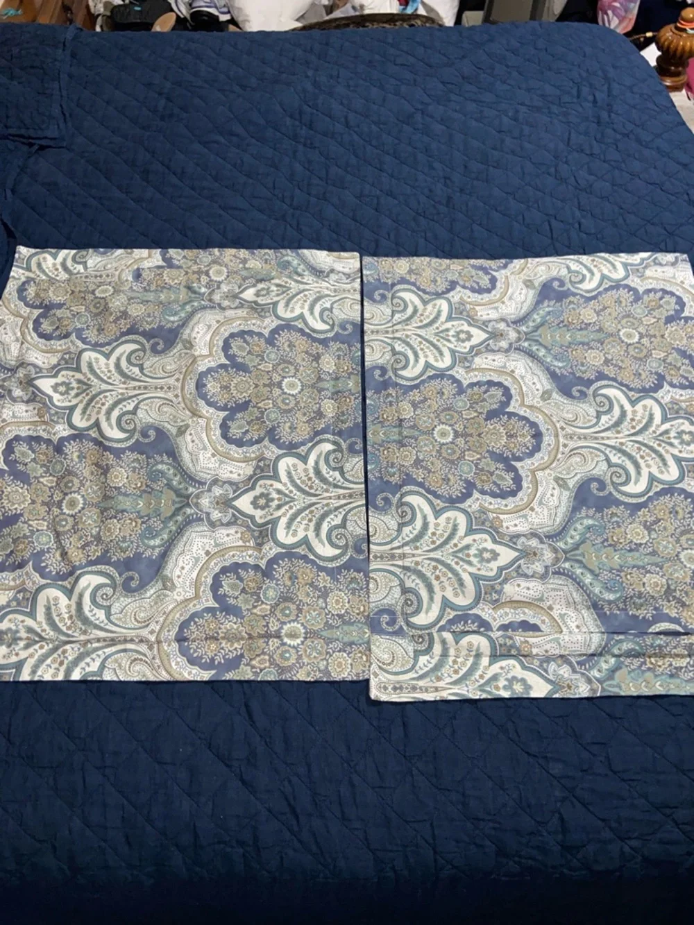 Like new Pottery Barn Jordana Paisley Standard Pillow Shams